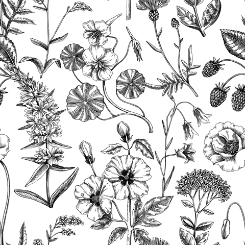 Hand-drawn summer background. Floral texture design. Sketched wildflowers seamless pattern. Vector illustration of field of flowers for wedding invitation, greeting cards, textile, packaging